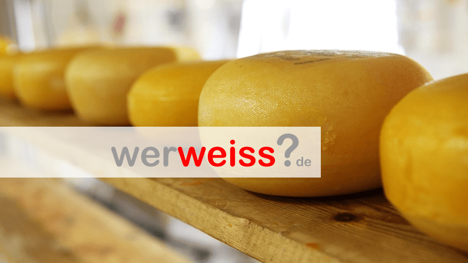 Wie bewahre ich Käse richtig auf?