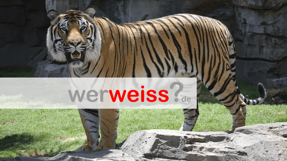Welcher Zoo ist der beste in Deutschland?